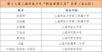 上海百万青少年明日科技之星名单揭晓 金山区优秀学子榜上有名，关注未列明信息技术服务业发展