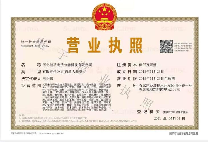 王业伟执掌未列明技术服务与信息技术服务企业，探索蓝海新路径